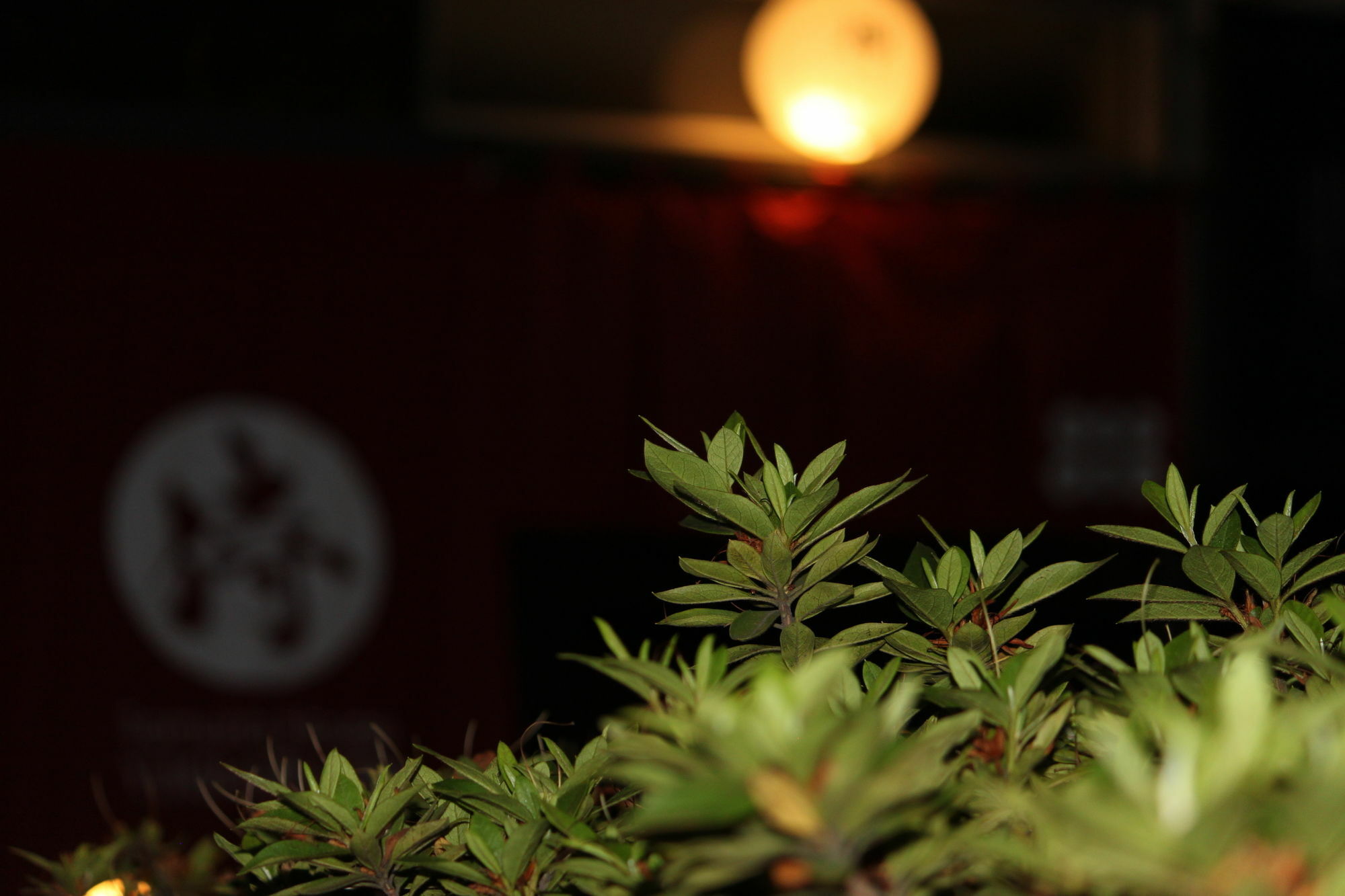 Samurai House Yukimura Tokyo Esterno foto